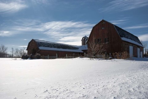 Framed Weathered Barn In Snow Covered Field Print