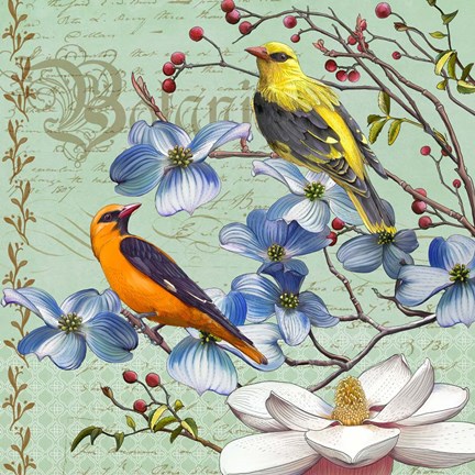Framed Oriole Bird Botanical Print