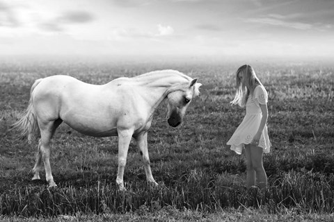 Framed Her White Horse Print