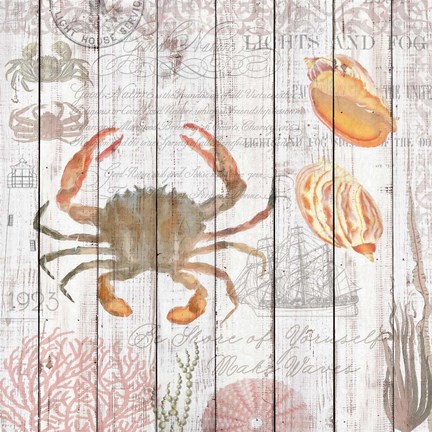 Framed Crabs on Driftwood Panel Print