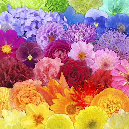 Framed Rainbow Flowers Print