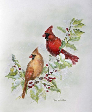Framed Holly Cardinals 2 Print