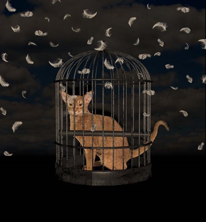 Framed BirdCaged Cat Print