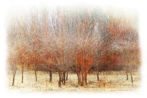 Framed Row of Red Trees Print