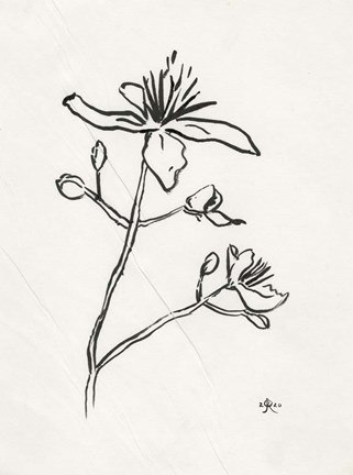 Framed Floral Ink Study II Print