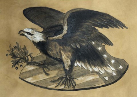 Framed Antique Eagle Print