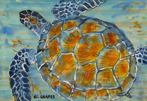 Framed Underwater Sea Turtle Print