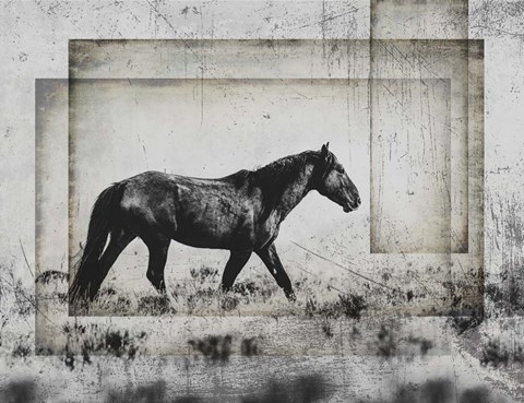 Framed Wild Horses of the Great Basin 5 Print