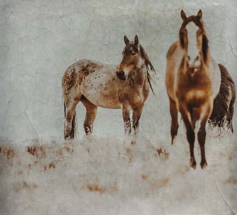 Framed Wild Horses of the Great Basin Lomography 3 Print