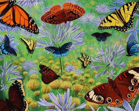 Framed Butterfly Bonanza Print