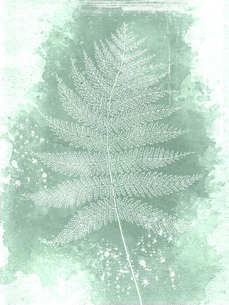 Framed Fern 4 Print