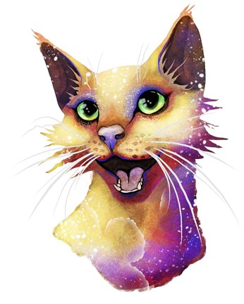 Framed Pets- Alley Cat Print