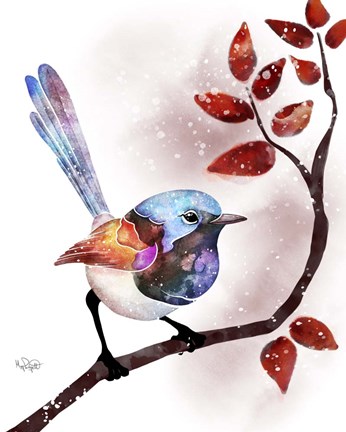 Framed Songbirds- Fairywren Red Leaves Print