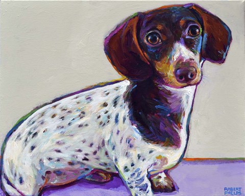 Framed Dachshund With Spots Print