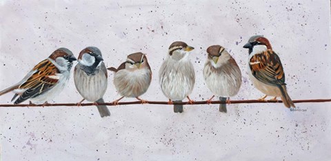 Framed House Sparrow Print