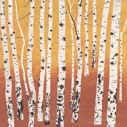 Framed Birch Wilderness Print