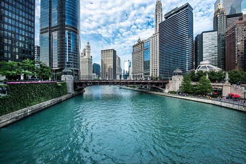 Framed Chicago River View Print