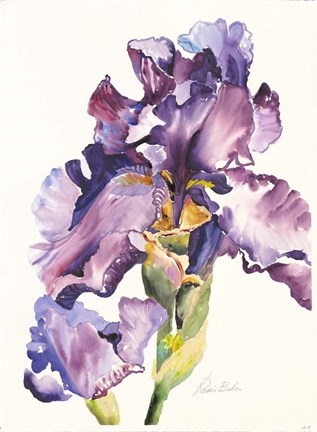 Framed Purple Iris with Bud Print