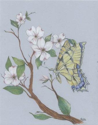 Framed Dogwood Butterfly Print