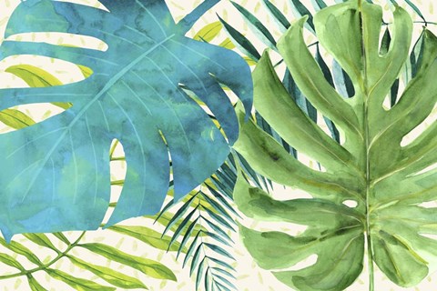 Framed Rainforest Canopy Print