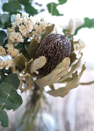 Framed Eucalyptus Arrangement Detail II Print