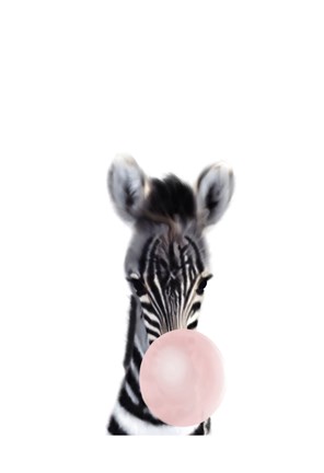 Framed Baby Zebra Bubble Gum Print