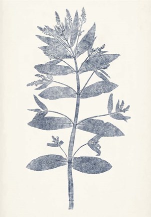 Framed Navy Botanicals III Print