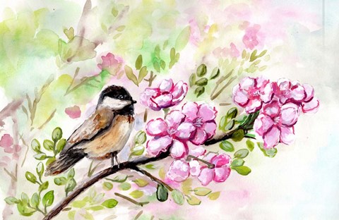 Framed Spring Chickadee and Apple Blossoms Print