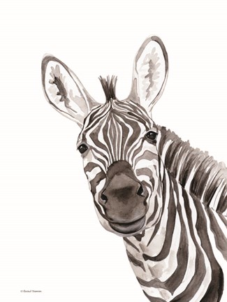 Safari Zebra Peek-a-booby Rachel Nieman