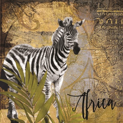 Framed Taste of Africa Zebra Print