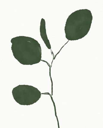 Framed Green Eucalyptus II Print