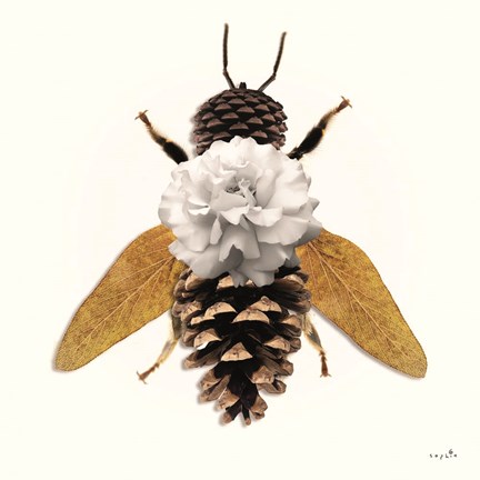 Framed Forest Bee Print