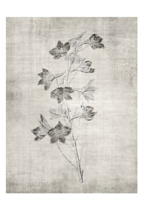 Framed Sepia Botanical 3 Print