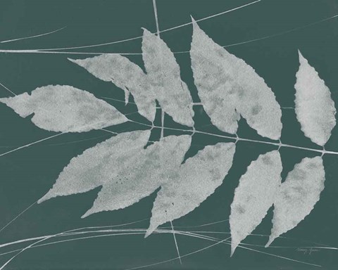 Framed Enchanted Fall Cyanotype IX Horizontal Print