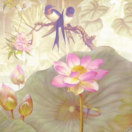 Framed Lotus Sanctuary IV Print