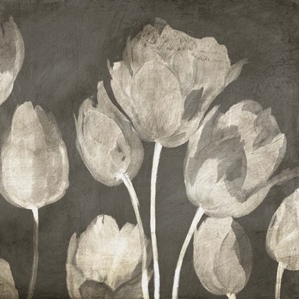 Framed Washed Tulips II Print