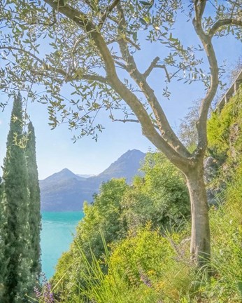 Framed Lago di Como View No. 2 Print