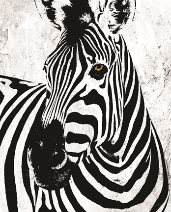 Framed Zebra Print