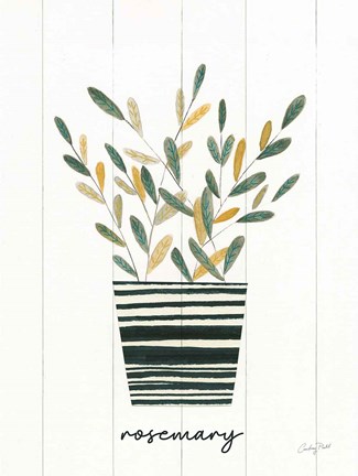 Framed Herb Garden V Print