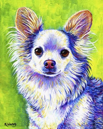 Framed Cute Chihuahua Print