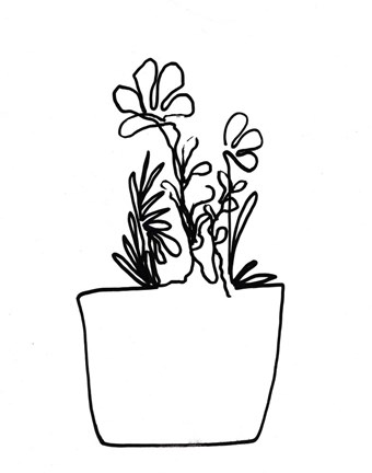 Framed Hand Sketch Flowerpot I Print