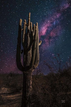 Framed Desert Nights Print