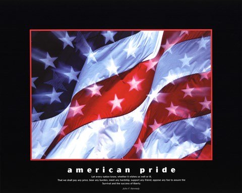 Framed American Pride-Together They Gave Print