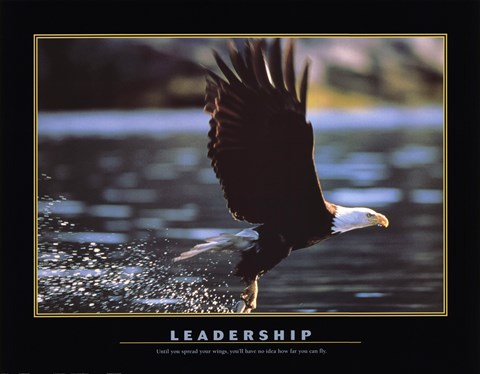 Framed Leadership Print