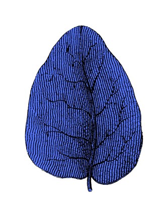 Framed Floating Blue Leaf I Print