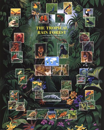 Framed Tropical Rain Forest movie poster Print