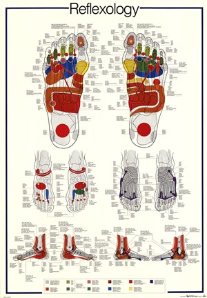 Framed Reflexology Print