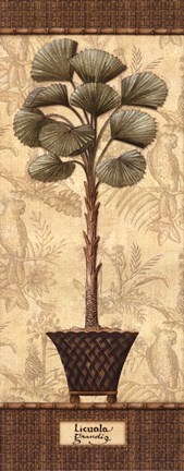 Framed Botanical Palm I Print