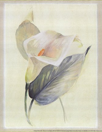 Framed Calla Lily III Print