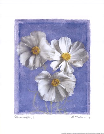 Framed Cosmos on Blue I Print